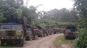 Traffico illegale di legname dal Myanmar a sostegno dei militari,