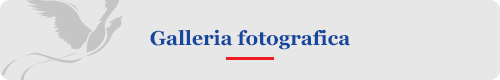 banner gallerie multimediali